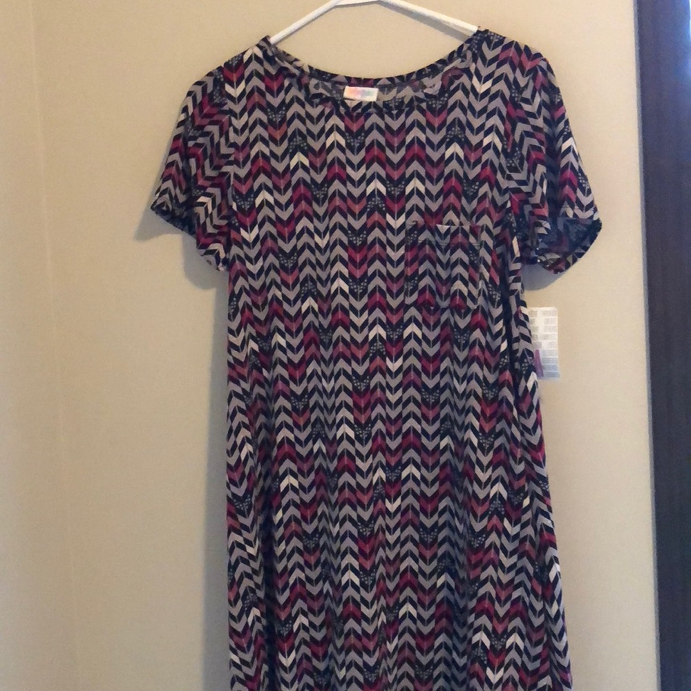 Lularoe medium Carly NWT